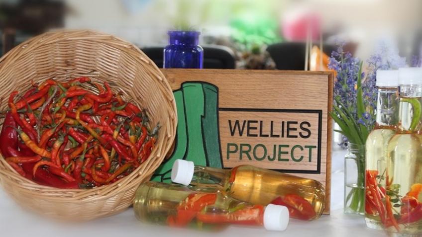 WELLIES is crowdfunding for a therapeutic garden