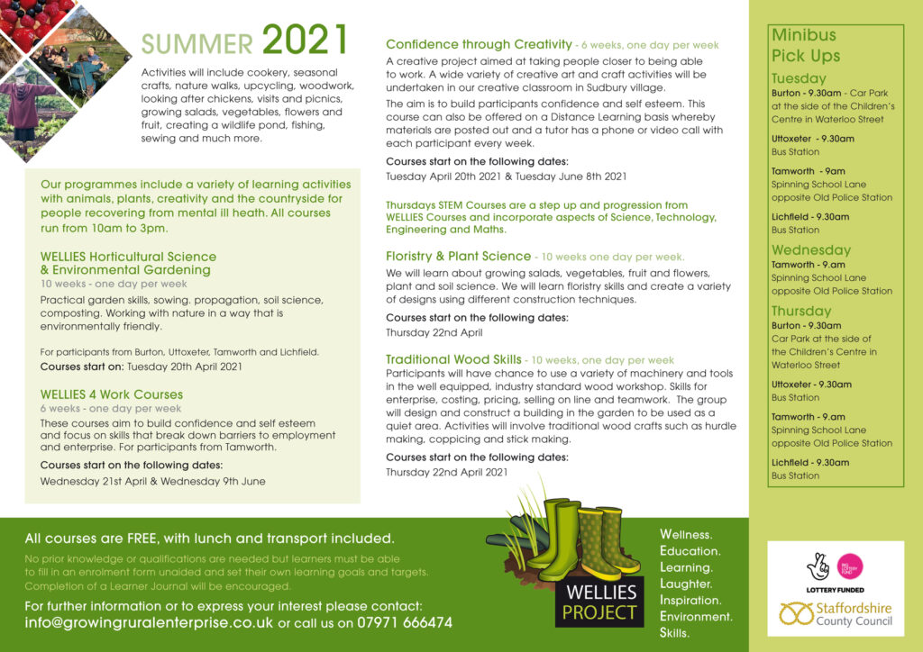Summer Courses at the WELLIES Project