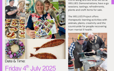 WELLIES Summer Showcase
