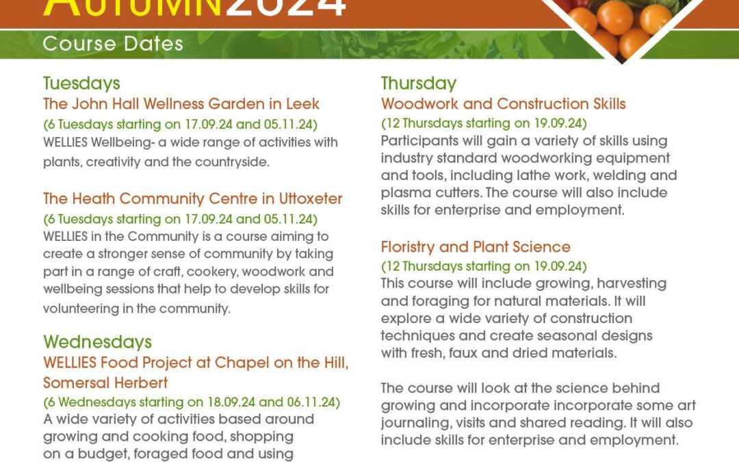 Autumn 2024 Courses