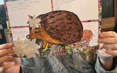 WELLIES Derbyshire: Nature and Wellbeing.